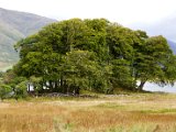 Schottland_097.jpg