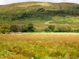 Schottland_099.jpg