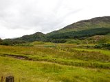 Schottland_105.jpg