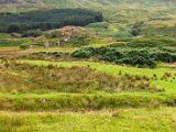 Schottland_108.jpg