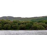 Schottland_115.jpg