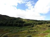 Schottland_120.jpg