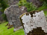 Schottland_151.jpg