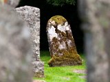 Schottland_154.jpg