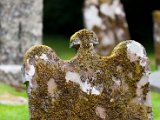Schottland_156.jpg