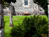 Schottland_161.jpg