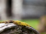 Schottland_173.jpg
