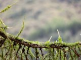 Schottland_206.jpg