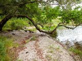 Schottland_207.jpg