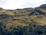 Schottland_225.jpg