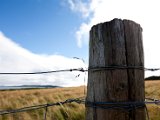 Schottland_437.jpg