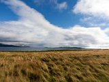 Schottland_439.jpg