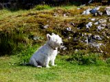 Schottland_449.jpg