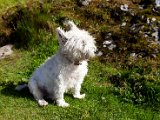 Schottland_450.jpg