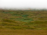 Schottland_479.jpg