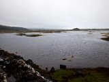 Schottland_486.jpg