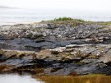 Schottland_493.jpg