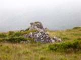 Schottland_498.jpg