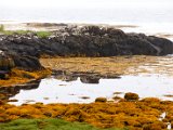 Schottland_503.jpg