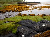 Schottland_504.jpg