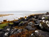 Schottland_505.jpg