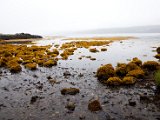Schottland_508.jpg