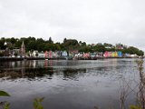 Schottland_525.jpg