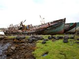 Schottland_537.jpg