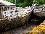 Schottland_541.jpg