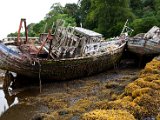 Schottland_542.jpg