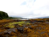 Schottland_545.jpg