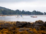 Schottland_546.jpg