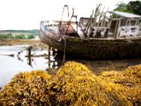 Schottland_550.jpg