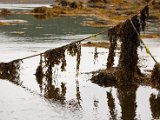 Schottland_551.jpg