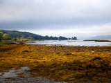 Schottland_566.jpg