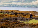 Schottland_569.jpg