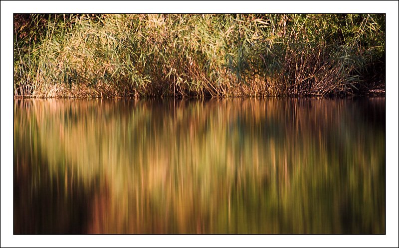 Lobau4