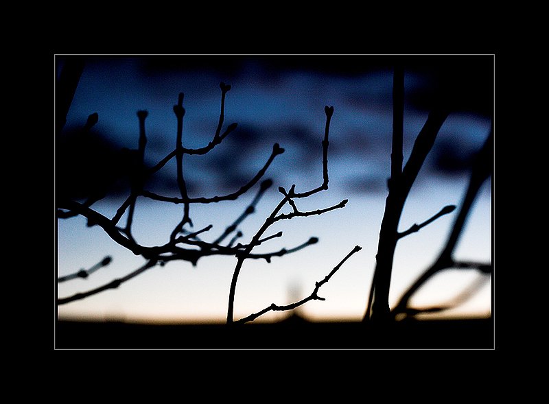 Morgen07