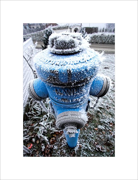 cold6