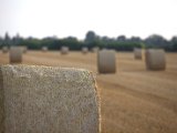 IMG_0001.CR2
