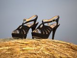 IMG_0009.CR2