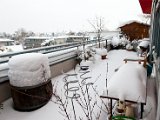 IMG_0240.jpg