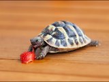 IMG_0248 small.jpg