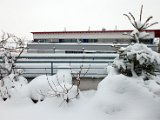 IMG_0250.jpg