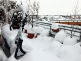 IMG_0255.jpg