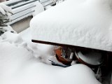 IMG_0256.jpg
