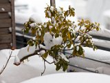 IMG_0263.jpg