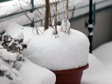 IMG_0268.jpg