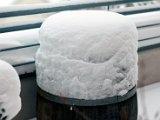 IMG_0270.jpg