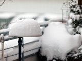 IMG_0274.jpg